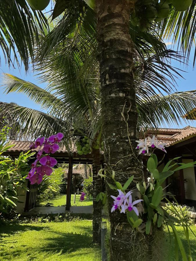 Casa Pomar Do Aconchego Apartment Paraty Bagian luar foto